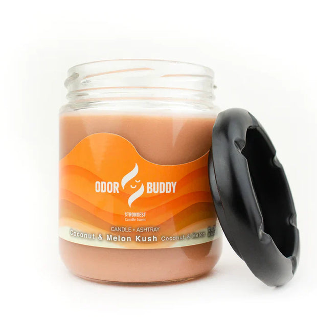 odor buddy melon candle