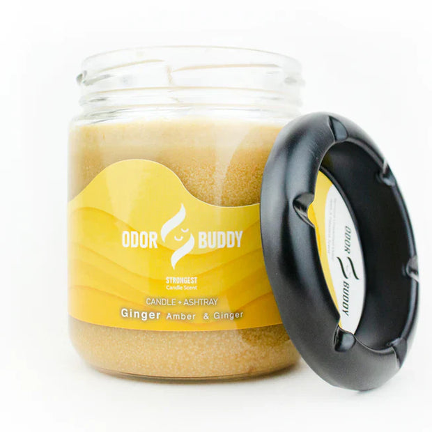 odor buddy amber and ginger candle